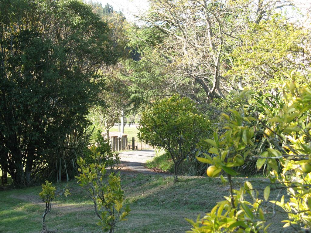 Villa Copper Gate Mapua Esterno foto